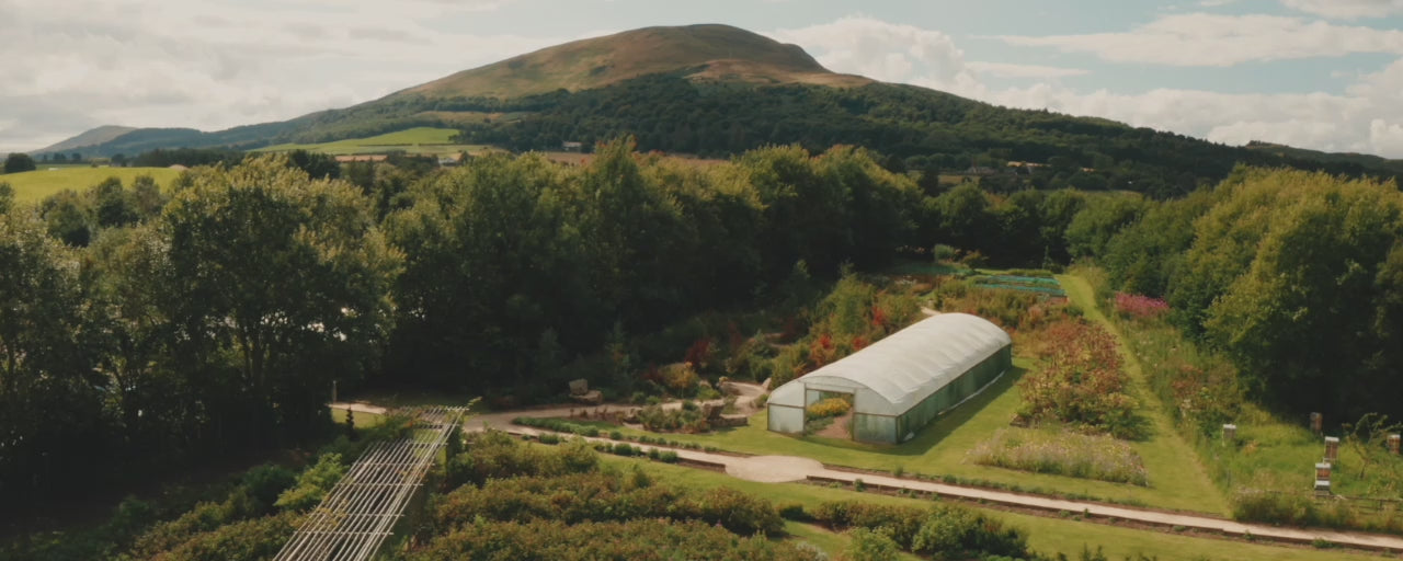 The Collector Scottish Gin Video